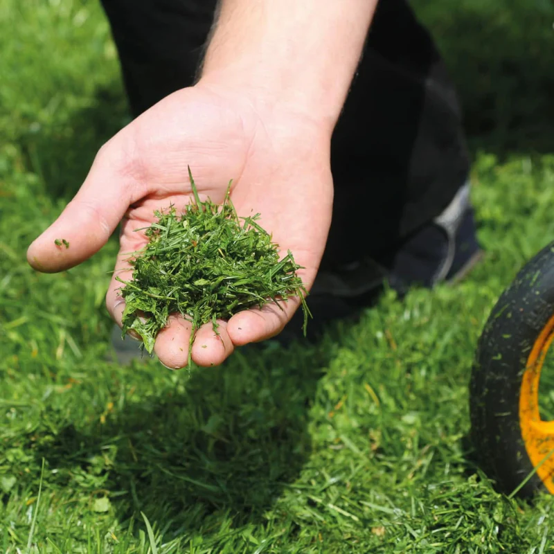 as-motor-as-510-e-proclip-a-g51000113